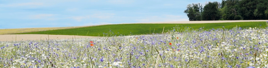 Die Neue Landwirtschaft